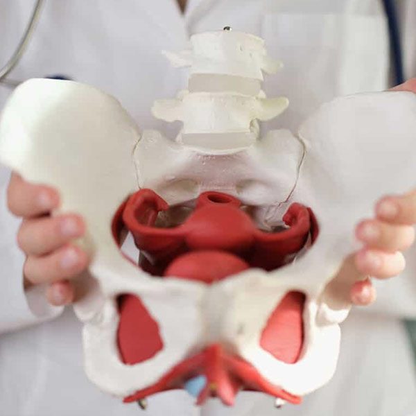 Specialized-Hip-Surgery